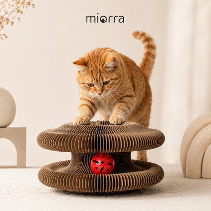 Miorra Orbit