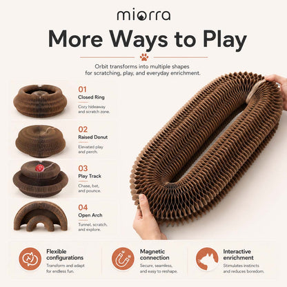 Miorra Orbit