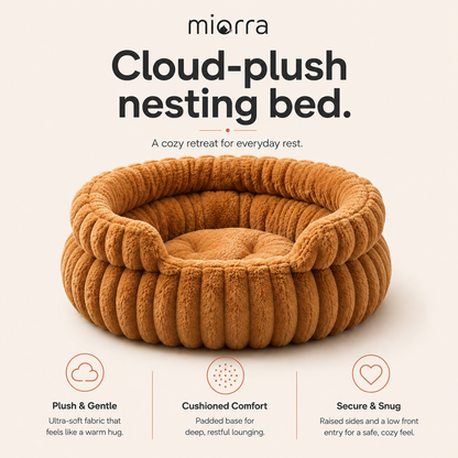 Miorra Cloud