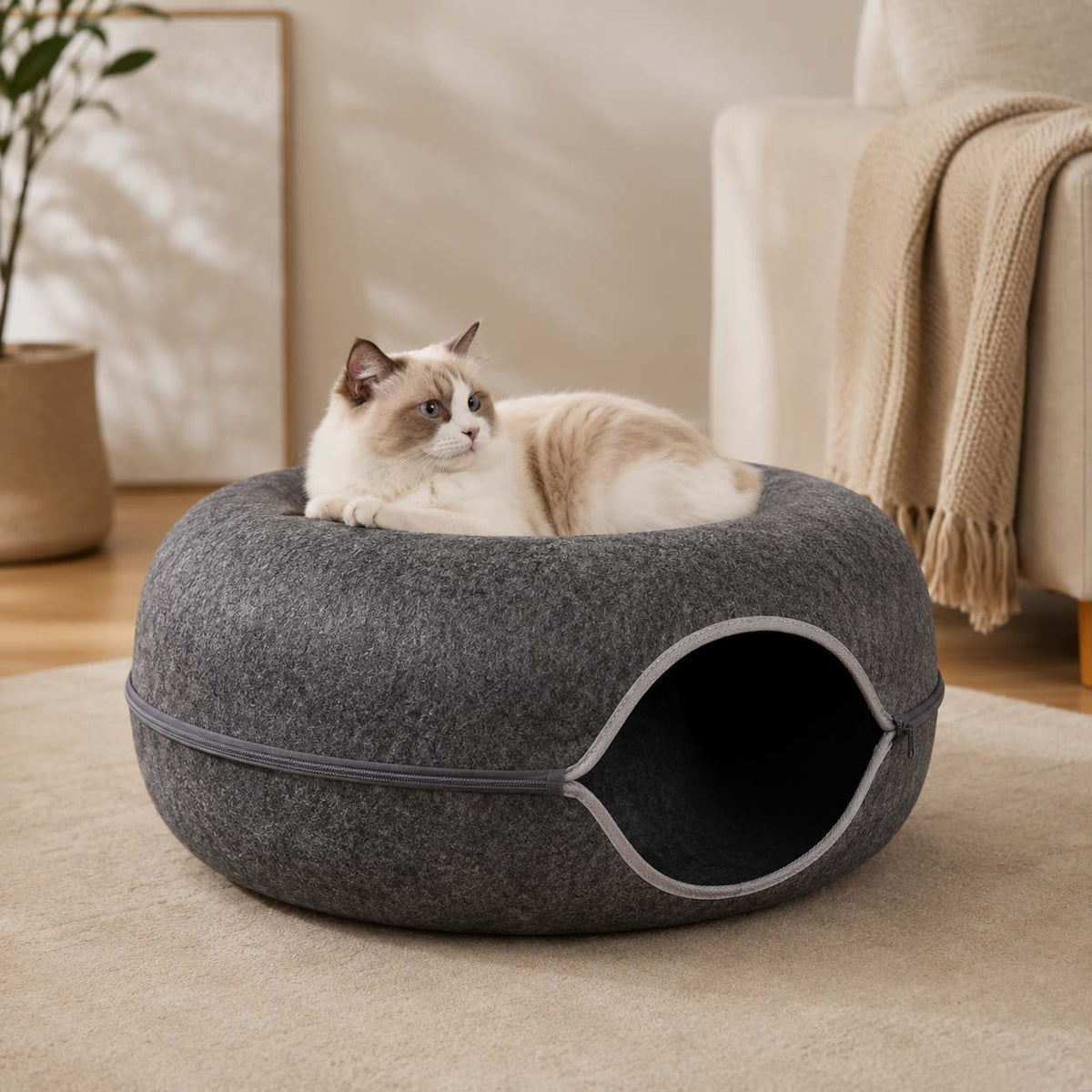Miorra Donut