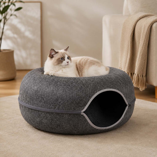 Miorra Donut